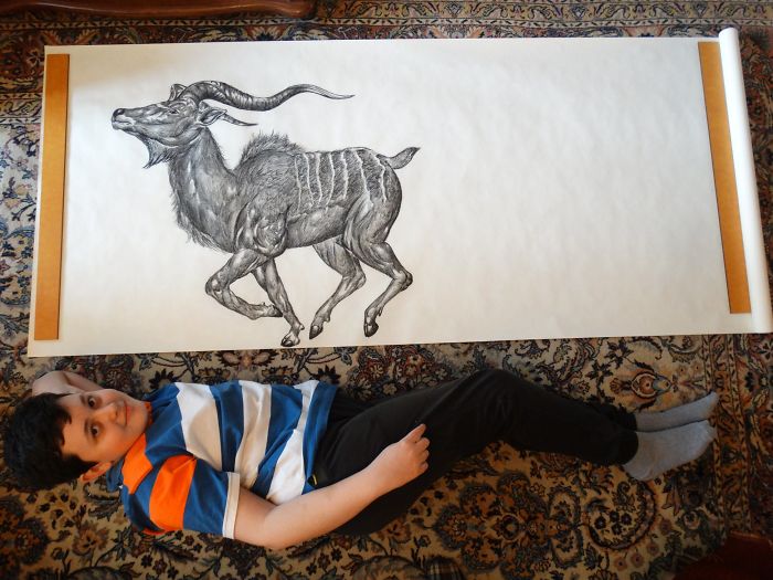 Фотография: Юный серб рисует с двух лет и уже иллюстрирует энциклопедии №5 - BigPicture.ru