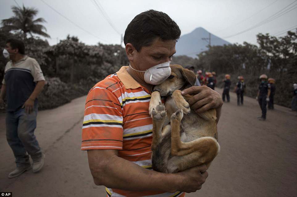 Фотография: Вулкан Фуэго в Гватемале за сутки убил 69 человек. Количество погибших растет №21 - BigPicture.ru