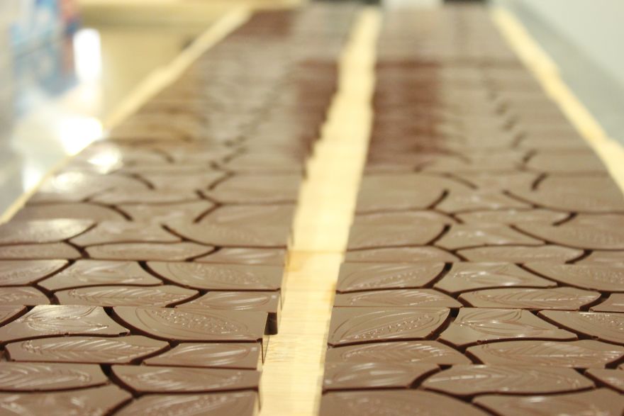 Фотография: От стручков на дереве до готовой шоколадной плитки: как делают крафтовый шоколад №24 - BigPicture.ru
