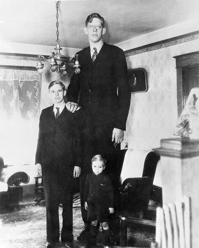 Появилось видео, где видно, насколько огромным был Роберт Уодлоу — самый высокий человек в истории Роберт, Уодлоу, возрасте, роста, сантиметра, метра, высоким, жизнь, Когда, высокий, Роберта, человека, самым, мальчик, семье, родители, сантиметров, ростом, рассчитаны, предметы
