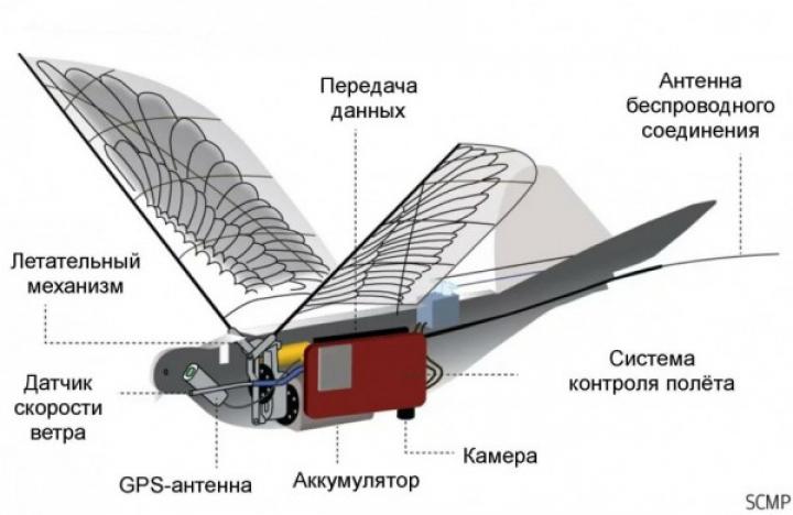 Фотография: Как устроены китайские дроны, замаскированные под голубей №3 - BigPicture.ru