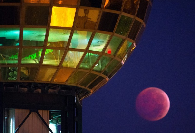 Фотография: И на нашем континенте праздник: россияне увидят самое длинное кровавое лунное затмение за весь XXI век №2 - BigPicture.ru