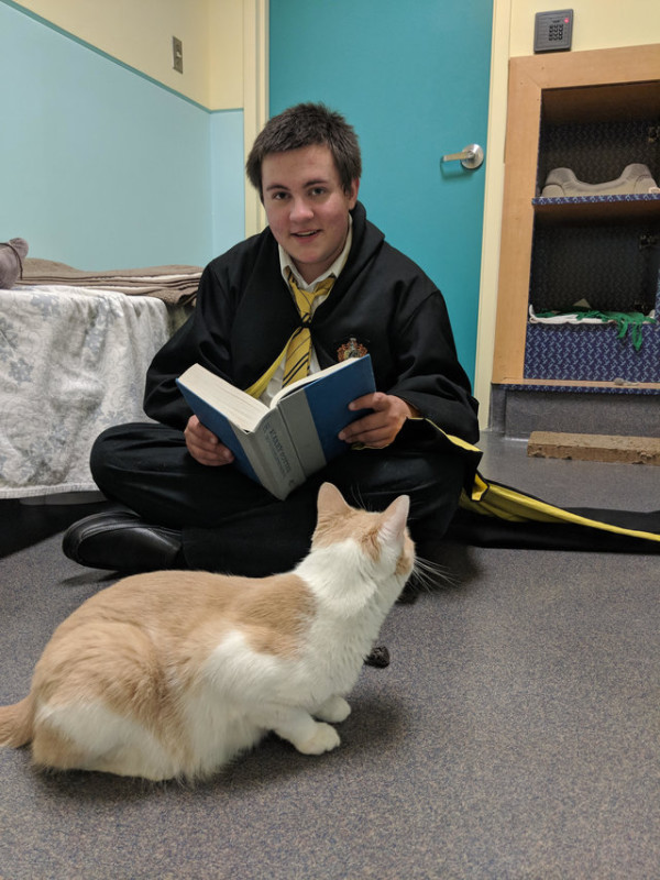 Фотография: Американец приручил бездомного слепого кота, читая ему книги о Гарри Поттере №7 - BigPicture.ru
