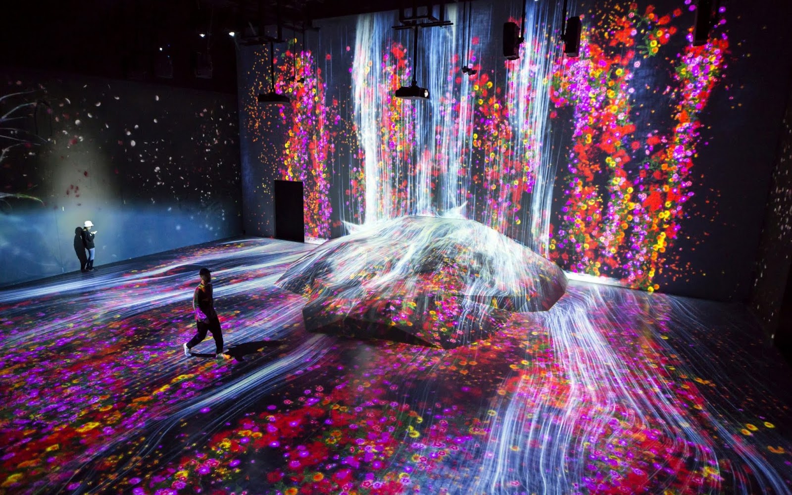 Фотография: В Японии открыли первый в мире интерактивный музей цифрового искусства №8 - BigPicture.ru