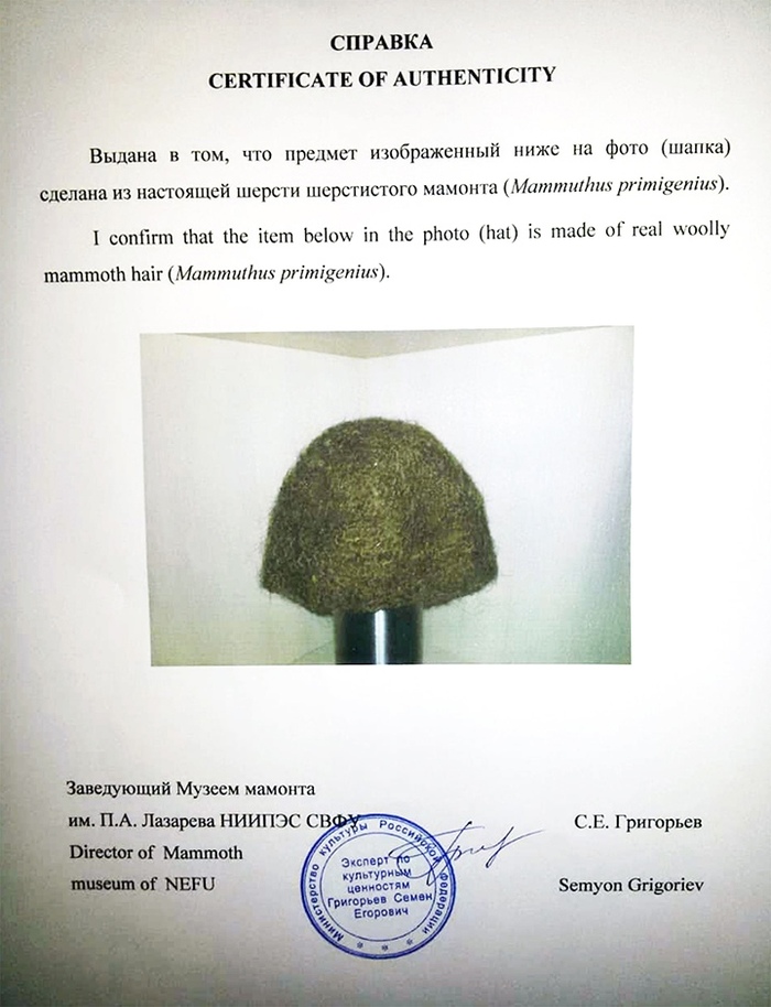 Фотография: Очень колется, зато с сертификатом: сибиряк продает уникальную шапку из шерсти мамонта №5 - BigPicture.ru