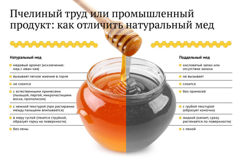 Фотография: Рассказывают эксперты: 4 явных признака поддельного меда №5 - BigPicture.ru