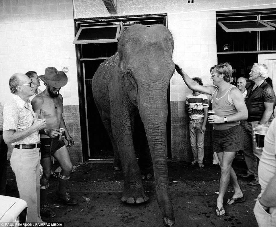 Фотография: Девушки в бикини, свобода и безработица: как жила Австралия в 70-е №6 - BigPicture.ru