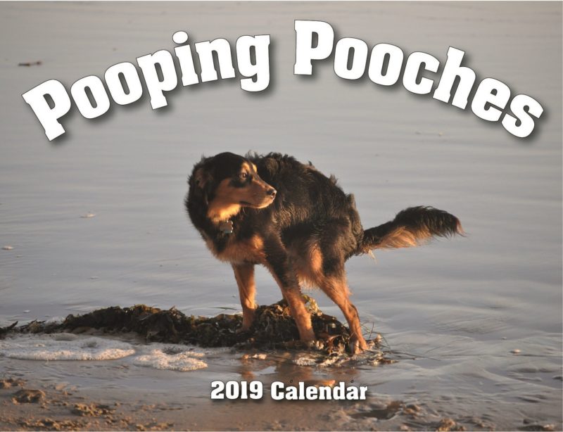 Фотография: Какающие собаки-2019 : что подарить другу на Новый год №2 - BigPicture.ru
