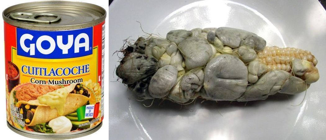 Фотография: Кузнечики, аллигатор, хлеб и... кукурузный грибок: самые безумные консервы №17 - BigPicture.ru