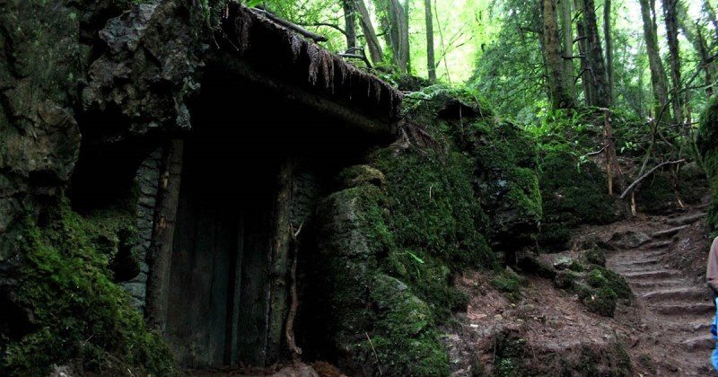 Фотография: Загадочный Пазлвуд — лес, подаривший вдохновение самому Толкиену №6 - BigPicture.ru