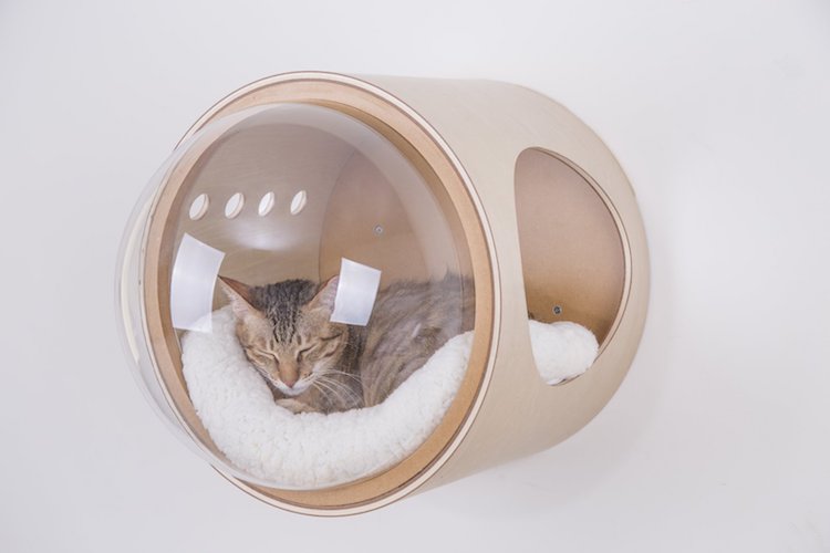 Фотография: В сети набирают популярность кошачьи кроватки-космолеты для пушистых покорителей космоса №6 - BigPicture.ru