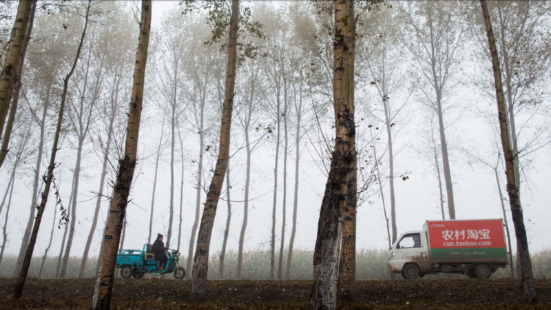Фотография: Как AliExpress делает китайских крестьян миллионерами №6 - BigPicture.ru