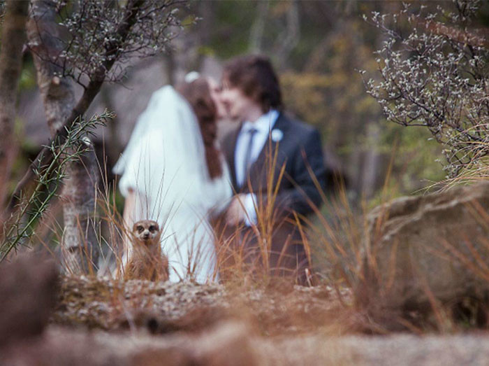 Фотография: 30 безнадежно запоротых свадебных фото №17 - BigPicture.ru