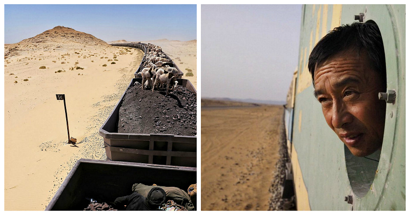 Через Сахару к океану в товарняке: экстремальная поездка в самом длинном в мире поезде