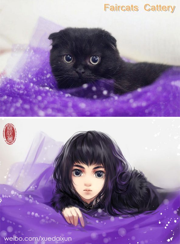 Фотография: Китайская художница превращает котиков и других зверушек в людей, и это невероятно №3 - BigPicture.ru