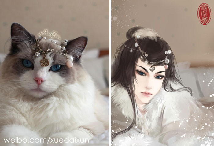 Фотография: Китайская художница превращает котиков и других зверушек в людей, и это невероятно №18 - BigPicture.ru