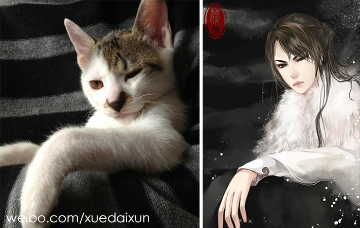 Фотография: Китайская художница превращает котиков и других зверушек в людей, и это невероятно №20 - BigPicture.ru