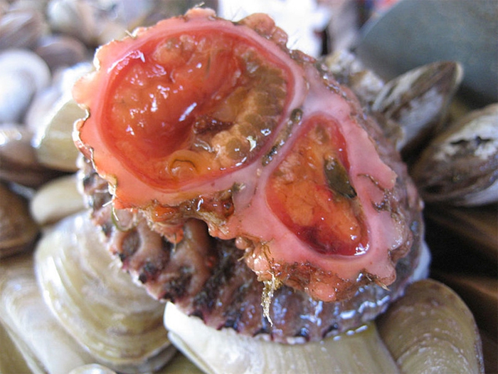 Фотография: На рыбных рынках Чили можно приобрести деликатес - живые камни №3 - BigPicture.ru