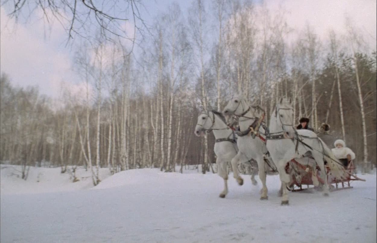 Зимний пейзаж Ботанического сада, где снимали сцену