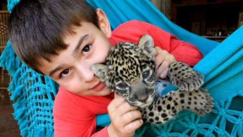 Фотография: Тьяго Силвейра – бразильский мальчик, живущий с ягуарами №7 - BigPicture.ru