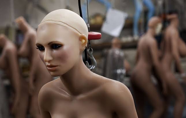 Фотография: Силиконовое нашествие: из-за секс-роботов в Японии упала рождаемость №6 - BigPicture.ru