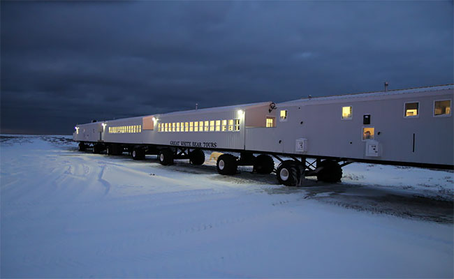 Фотография: Ночь с белыми медведями: первый арктический отель на колесах №9 - BigPicture.ru