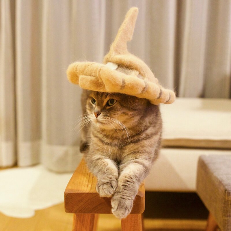Фотография: Смешные коты в колпачках из собственной шерсти №16 - BigPicture.ru