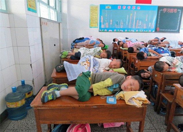 Фотография: Строго по расписанию: почему китайцы едят только в 12 дня и спят на рабочем месте №6 - BigPicture.ru