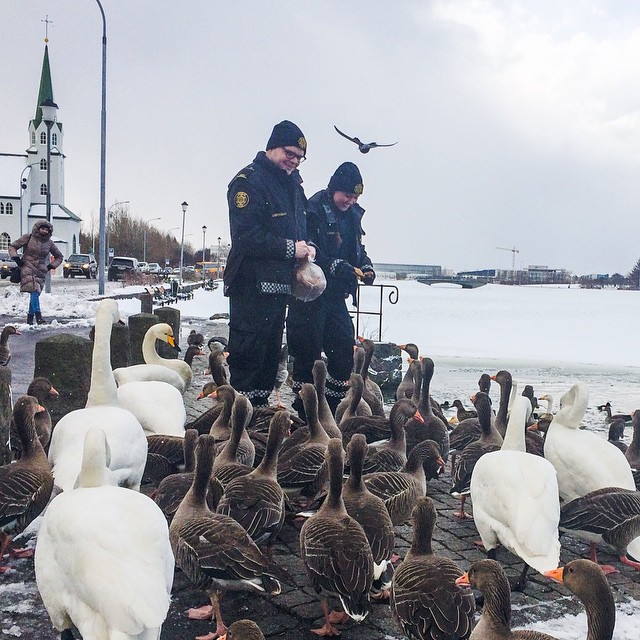 Фотография: 15+ фото, доказывающих, что в Рейкьявике работают самые милые полицейские №4 - BigPicture.ru