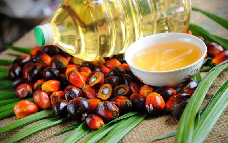 Фотография: Разоблачение пальмового масла: доклад Всемирной Организации Здравоохранения №9 - BigPicture.ru