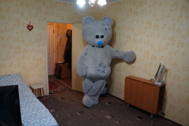 Фотография: Как сдать квартиру с душой и изюминкой: мишка презентует берлогу №4 - BigPicture.ru