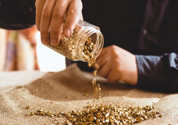 Эхо «золотой лихорадки»: в Новой Зеландии предлагают купить золотоносный участок