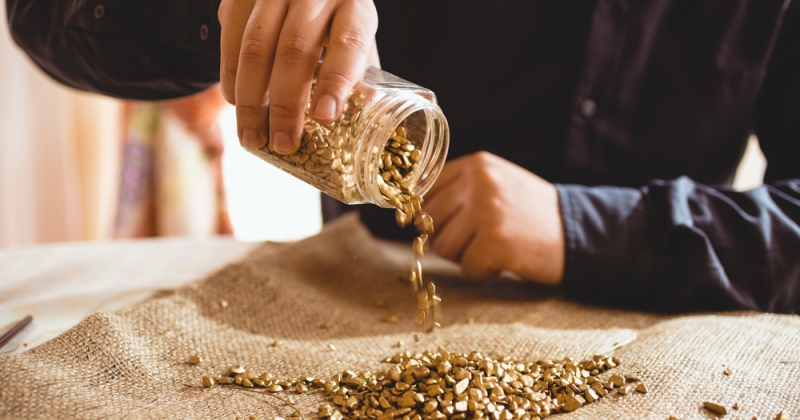 Эхо «золотой лихорадки»: в Новой Зеландии предлагают купить золотоносный участок