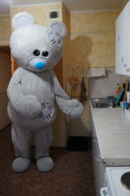 Фотография: Как сдать квартиру с душой и изюминкой: мишка презентует берлогу №6 - BigPicture.ru