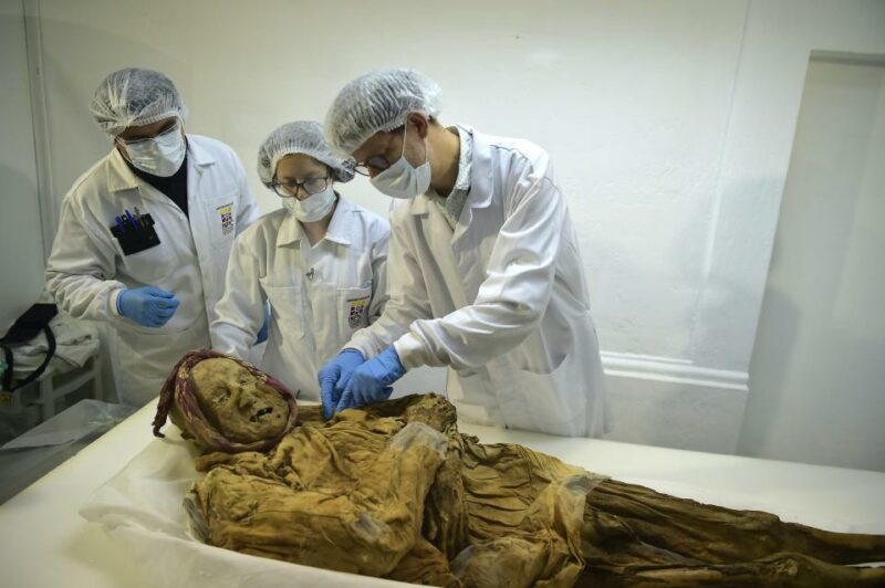 Фотография: 500-летняя мумия монаха может дать ответ, почему мы страдаем от ревматизма №1 - BigPicture.ru