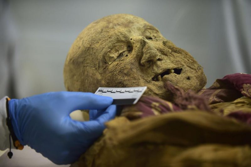 Фотография: 500-летняя мумия монаха может дать ответ, почему мы страдаем от ревматизма №2 - BigPicture.ru
