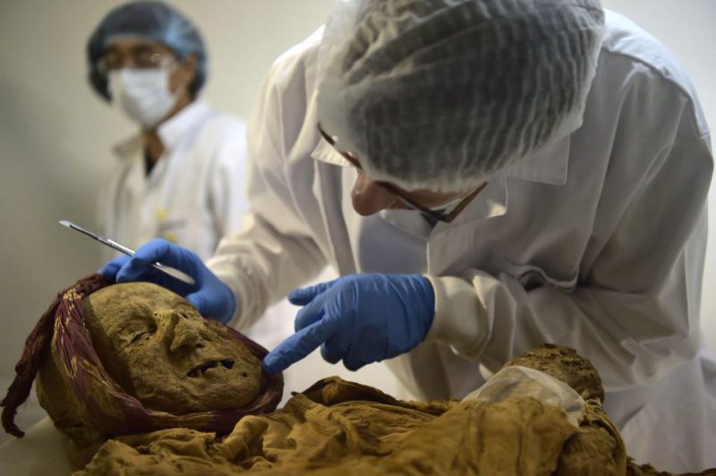 Фотография: 500-летняя мумия монаха может дать ответ, почему мы страдаем от ревматизма №3 - BigPicture.ru