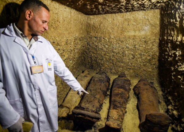 Братская могила по-египетски: 50 мумий возрастом более 2400 лет найдены возле Каира