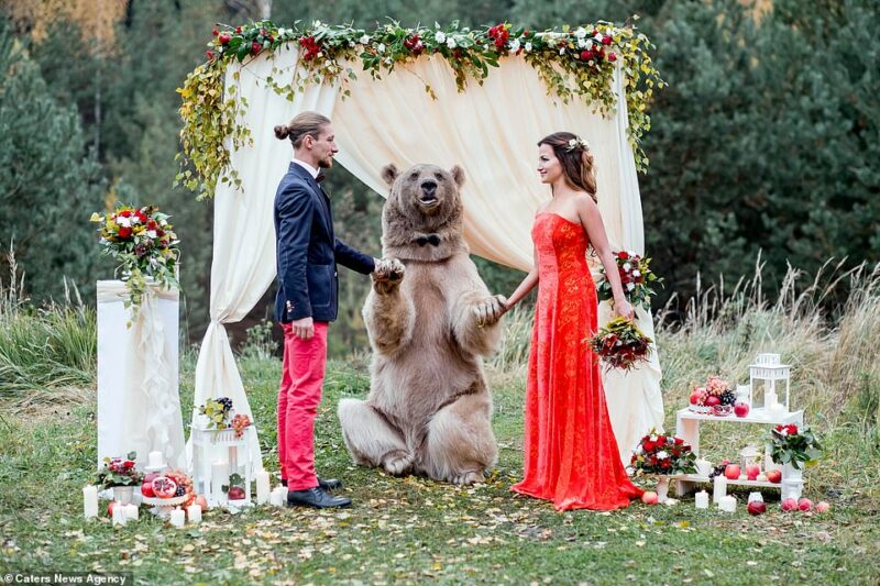 Фотография: Бесстрашная любовь: свадебные церемонии в самых экстремальных и необычных локациях №7 - BigPicture.ru