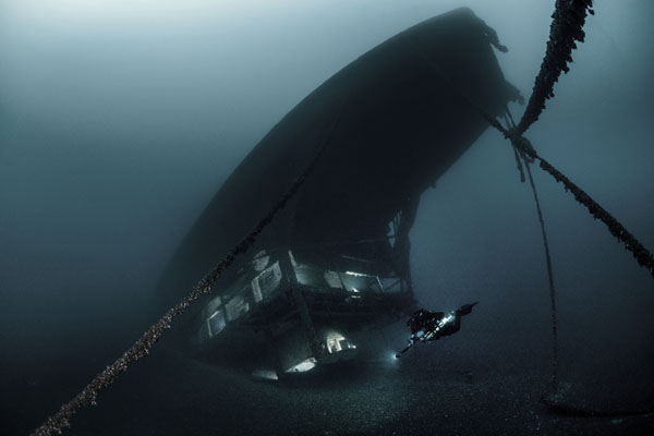Фотография: Во владениях Нептуна: подводное царство на фотографиях конкурса 2019 Underwater Photographer of the Year №8 - BigPicture.ru