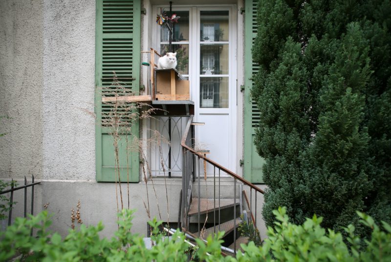Фотография: Дорога в кошачье королевство: лестницы для пушистых домашних любимцев на фасадах швейцарских домов №11 - BigPicture.ru