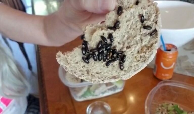 Фотография: Американка ест китайских жуков-долгоносиков, чтобы вечно оставаться молодой №4 - BigPicture.ru