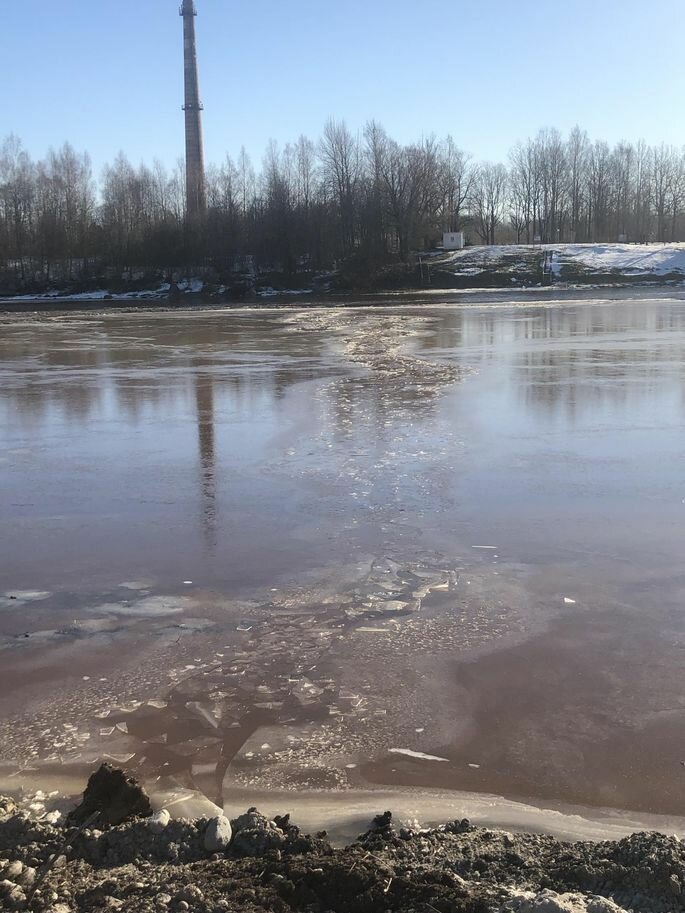 Фотография: Ошибочка вышла: эстонцы спасли из ледяной реки собаку, а она оказалась волком №2 - BigPicture.ru