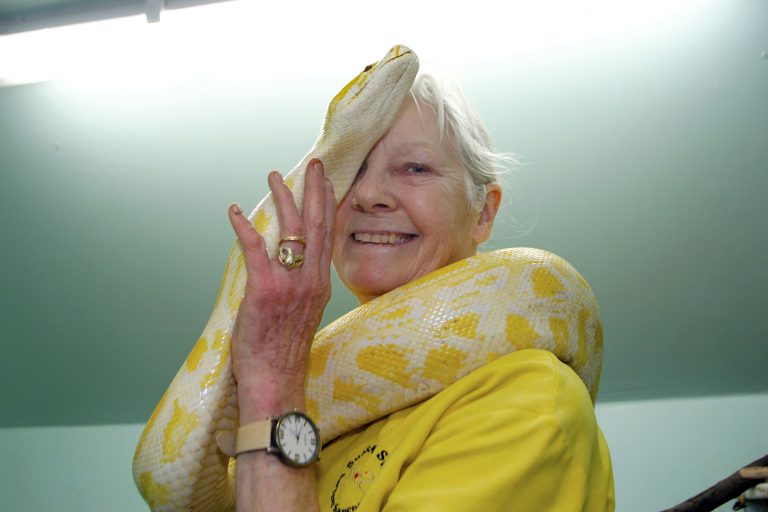 Фотография: Миллионы на хобби: как английская пенсионерка стала повелительницей змей №2 - BigPicture.ru