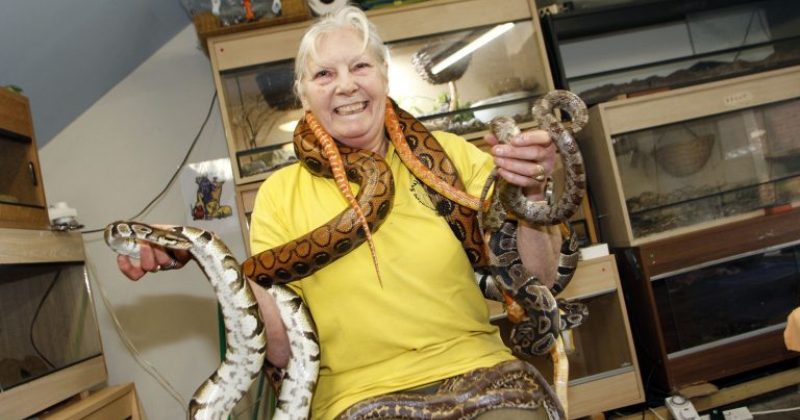 Фотография: Миллионы на хобби: как английская пенсионерка стала повелительницей змей №1 - BigPicture.ru