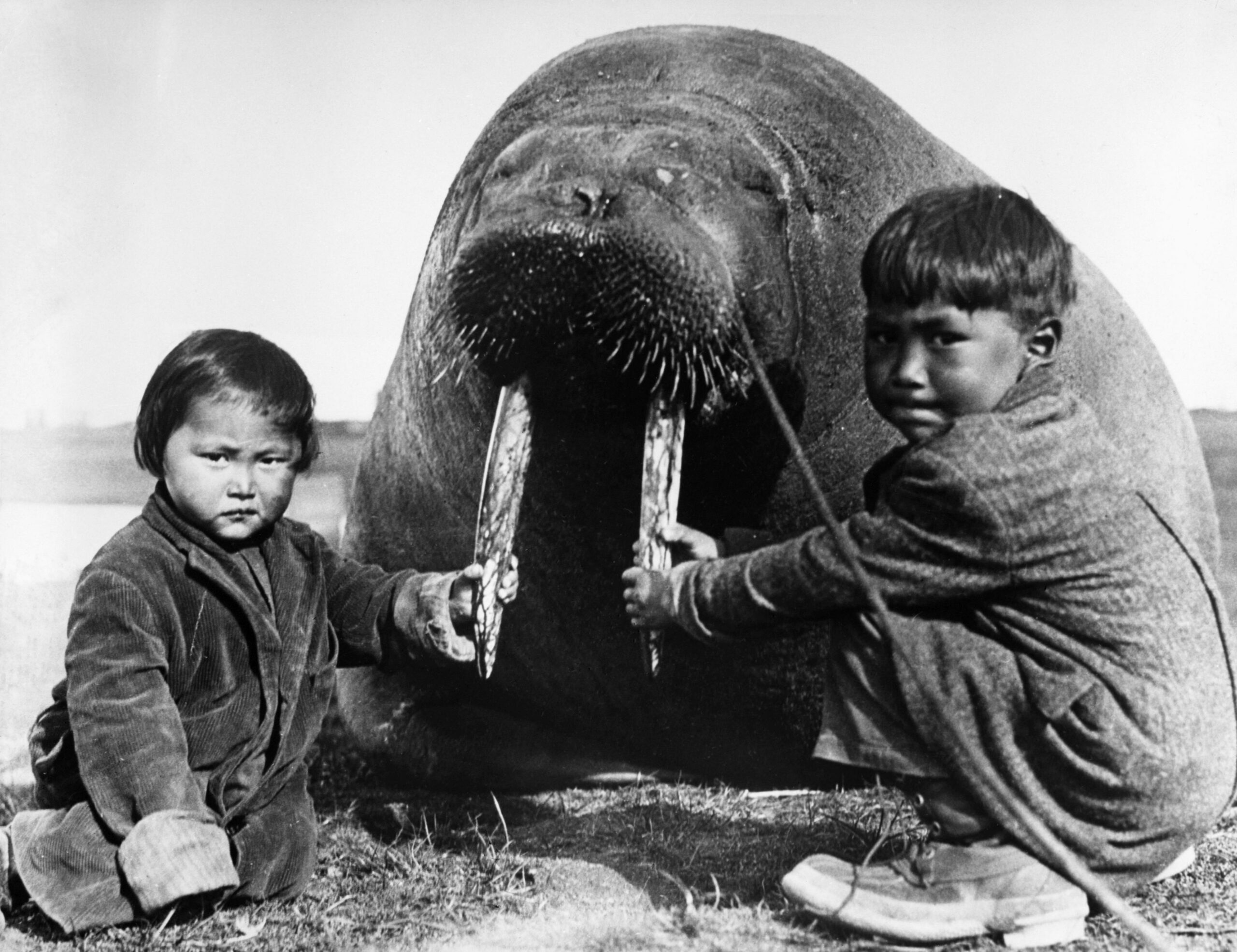 Дети эскимосов и морж