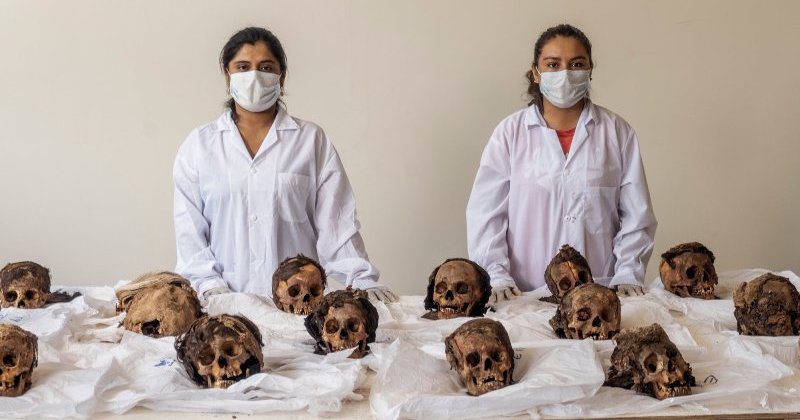 Фотография: Ученые раскрыли массовое убийство детей на севере Перу, произошедшее в XV веке №1 - BigPicture.ru