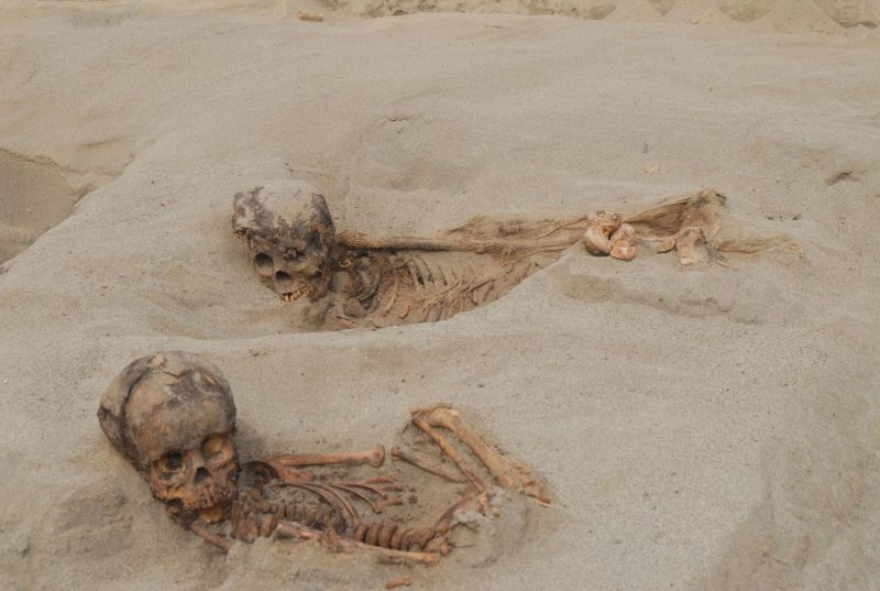Фотография: Ученые раскрыли массовое убийство детей на севере Перу, произошедшее в XV веке №4 - BigPicture.ru