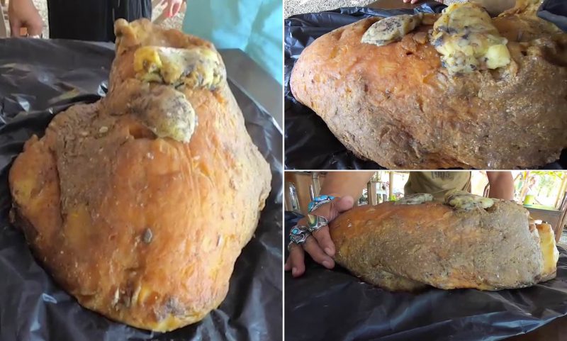 Фотография: Как найденная на пляже рвота кашалота сделала тайца богаче на полмиллиона долларов №2 - BigPicture.ru
