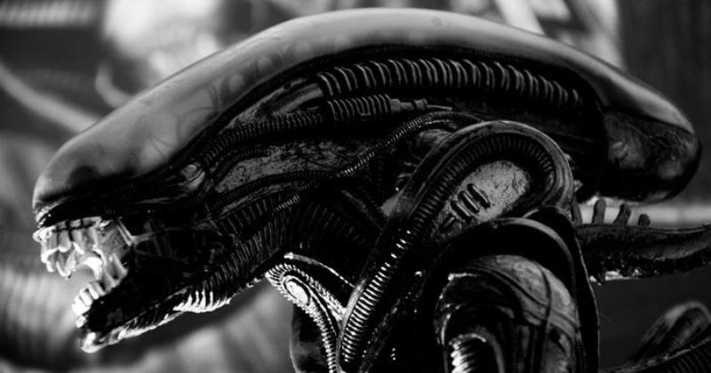 Спектакль по фильму «Чужой», поставленный школьниками из США, впечатлил зрителей и соцсети